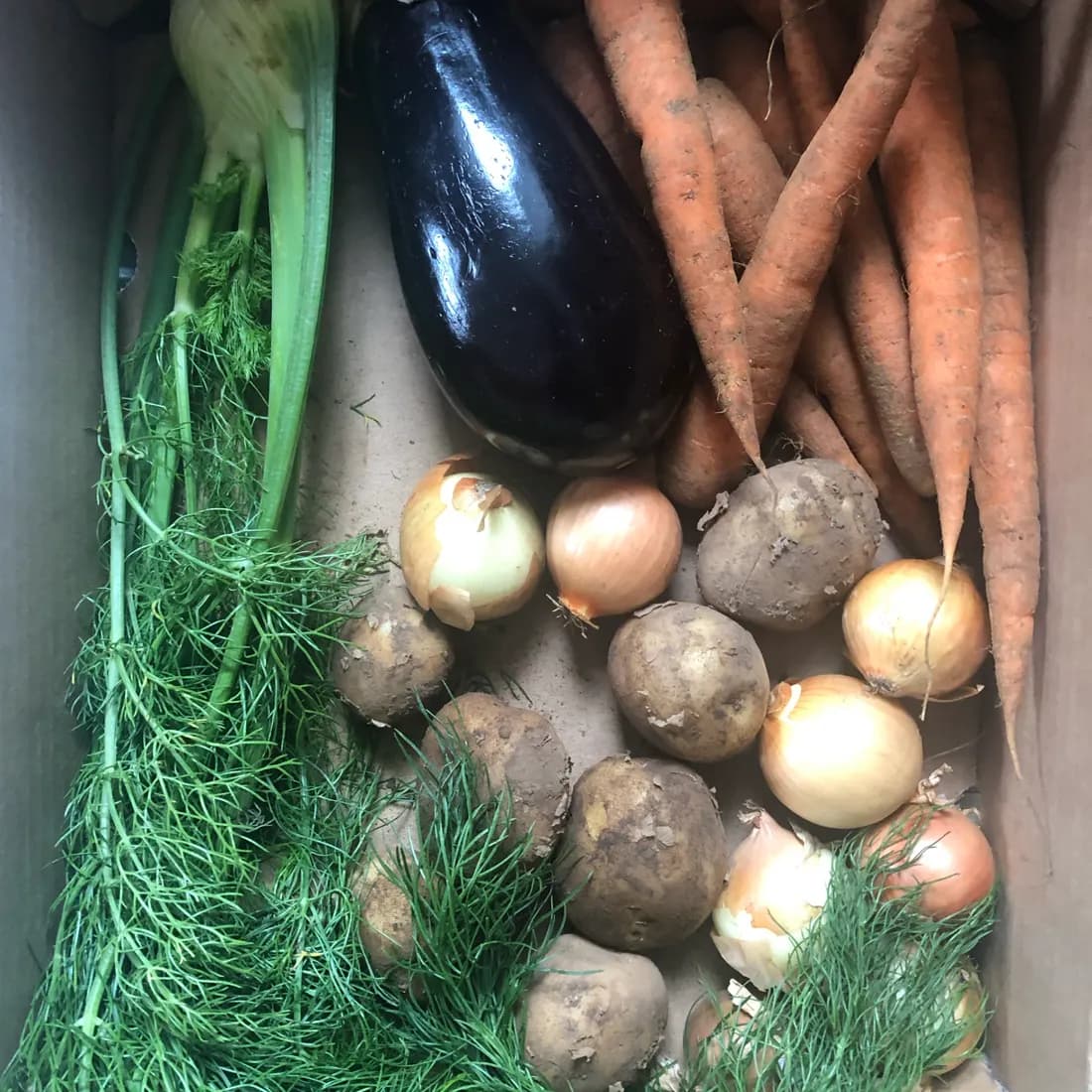 Caja con verduras frescas de formas irregulares